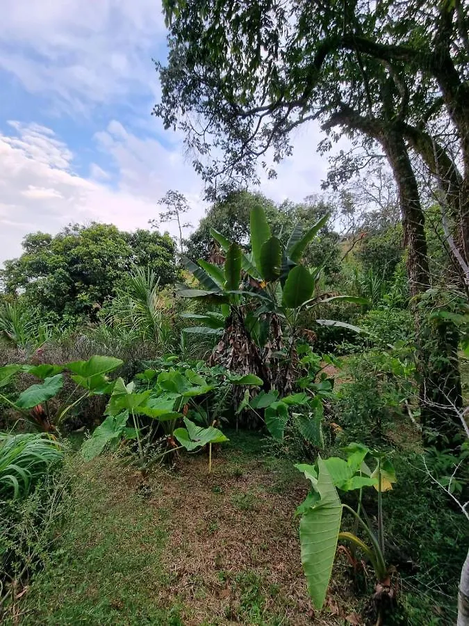 卡利Casa Finca De Descanso别墅 哥伦比亚