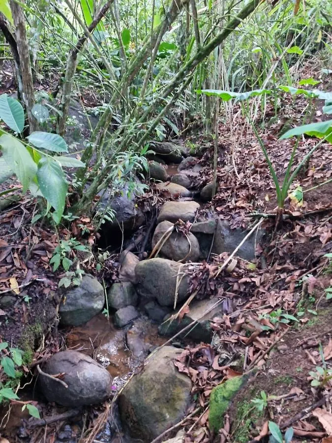 卡利Casa Finca De Descanso别墅 度假居 卡利